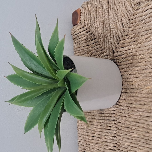 Wooden stool plant 🪴 holder - Picture 6 of 6